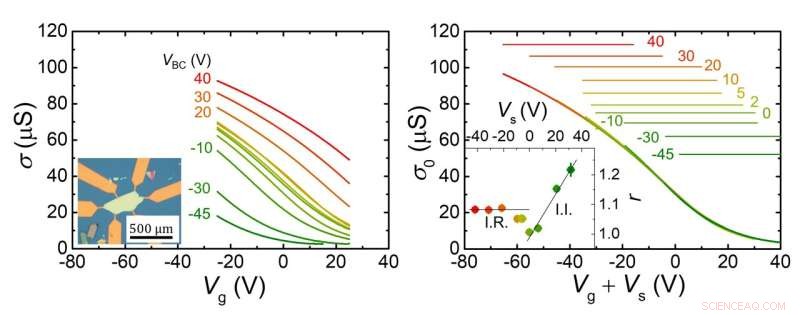 Unraveling 2D Disorder: Insights into Device Structure and Gate Voltage Hysteresis
