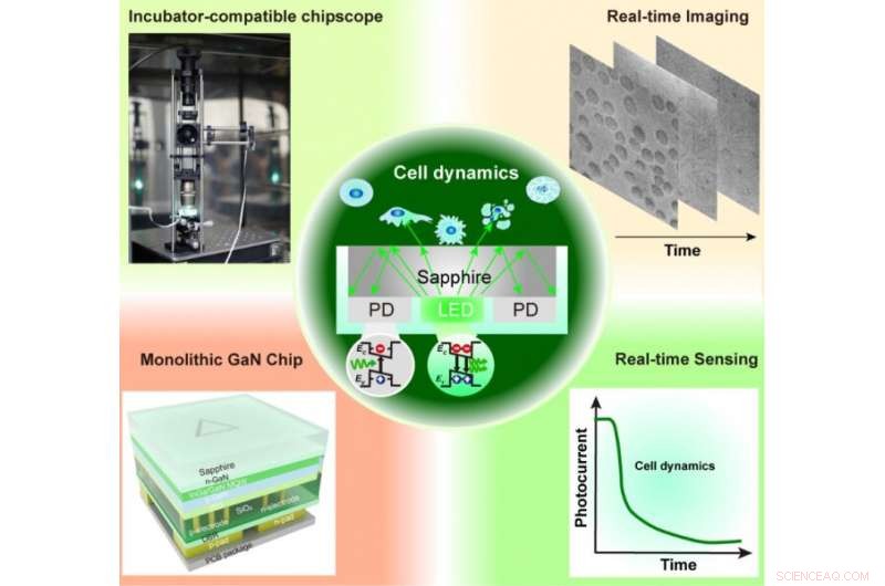 Innovative Photonic Chipscope Enables Real‑Time, Label‑Free Monitoring of Live Cell Activity