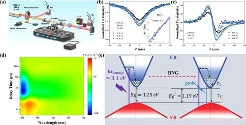 InSe: Probing Intrinsic Optical Nonlinearities & Carrier Dynamics