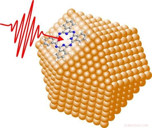 Unveiling Molecular Binding Configurations and Mobility on Nanoparticle Surfaces