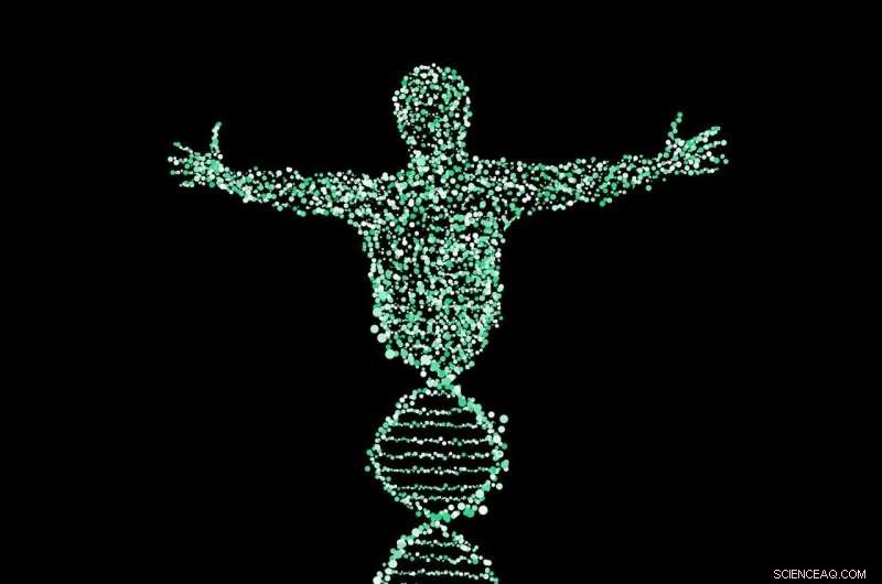 New Study Confirms DNA Nanotechnology Is Safe for Medical Use