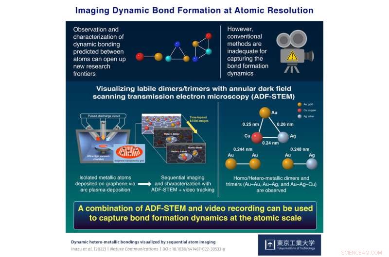 Live Observation of Metallic Atom Assembly via Scanning Transmission Electron Microscopy