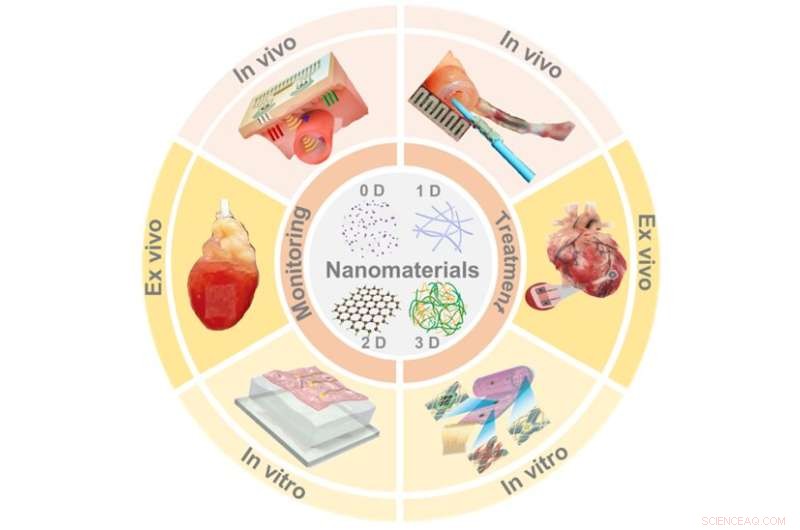 Nanomaterials Offer Hope in Reducing Heart Disease Mortality