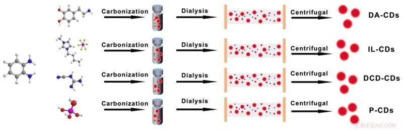 Universal Red Luminescence in o‑Phenylenediamine Carbon Dots Enabled by Electron‑Phonon Coupling