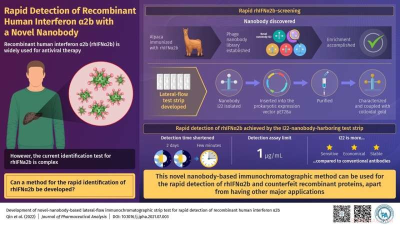 Rapid Nanobody-Based Lateral Flow Test for Quick Detection of Recombinant Human Interferon α2b