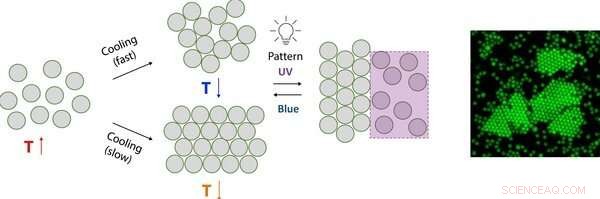 Harnessing Light and Heat to Trigger Microscale Self‑Assembly