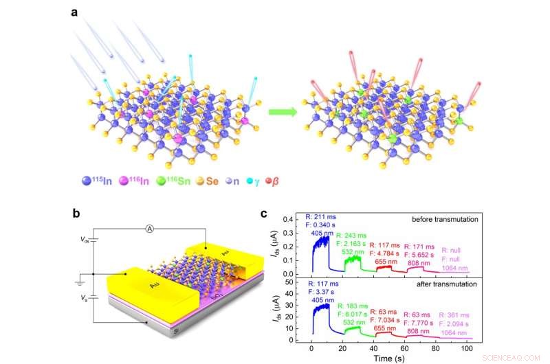 Transmutation Doping Strategy Boosts Responsiveness of 2D InSe Phototransistors