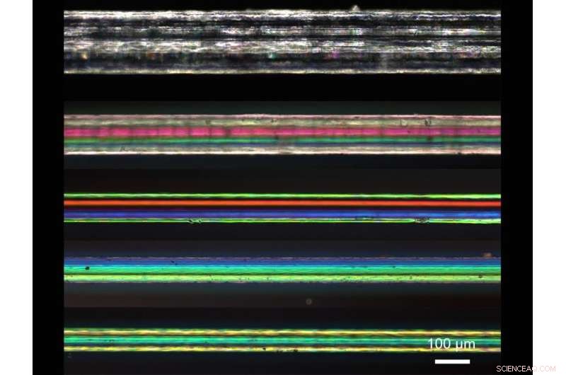New Biomimetic Actuators Mimic Muscle Structure for Advanced Robotics & Prosthetics