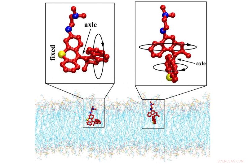 Light-Activated Nano-Drills: Advanced Molecular Machines Combat Antibiotic-Resistant Bacteria