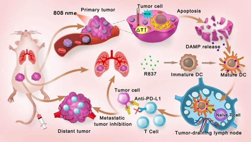 Advanced Light-Responsive Nanoplatform Enhances Cancer Photo-Immunotherapy