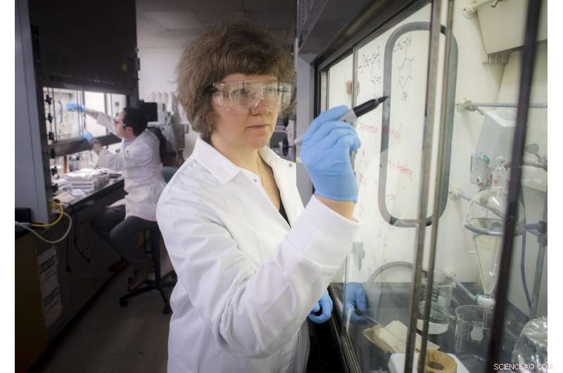 Polymersomes Enable Targeted siRNA Delivery for Breast Cancer Therapy in Preclinical Studies