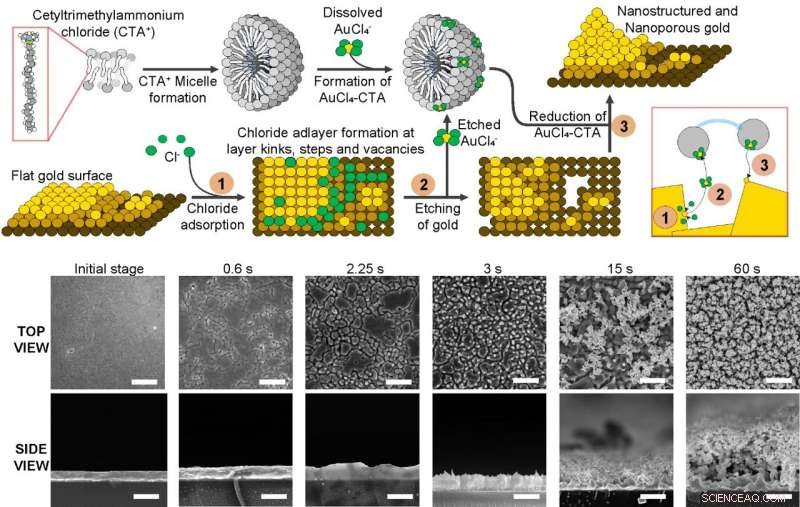Advanced Diagnostic Nano-Probes: Enhanced Design and Fabrication