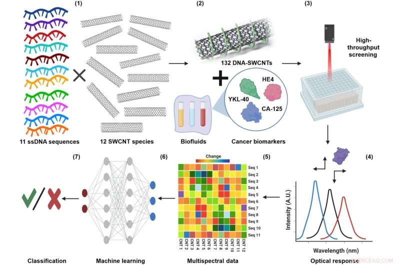 New Nanosensor Platform Enhances Early Detection of Ovarian Cancer