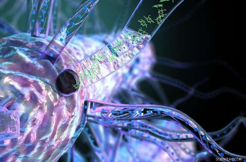 Cooling Boosts Electron Transport in Bacterial Nanowires, Enhancing Natural Electrical Conductivity