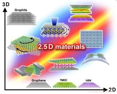 Revolutionizing Technology: The Rise of 2.5D Materials