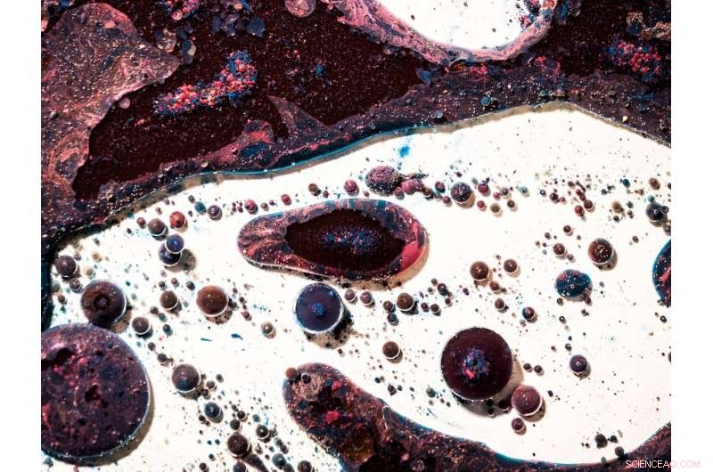 Scientists Pioneer Novel Nanoparticle Designs for Targeted Cancer Therapy