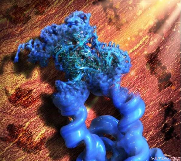Revolutionary Nanotech Enables Near-Atomic Visualization of RNA Structures