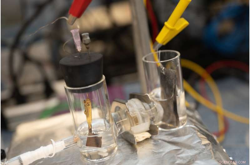 Revolutionary Catalyst Turns Wastewater Ammonia Into Fertilizer, Cutting CO2 Emissions