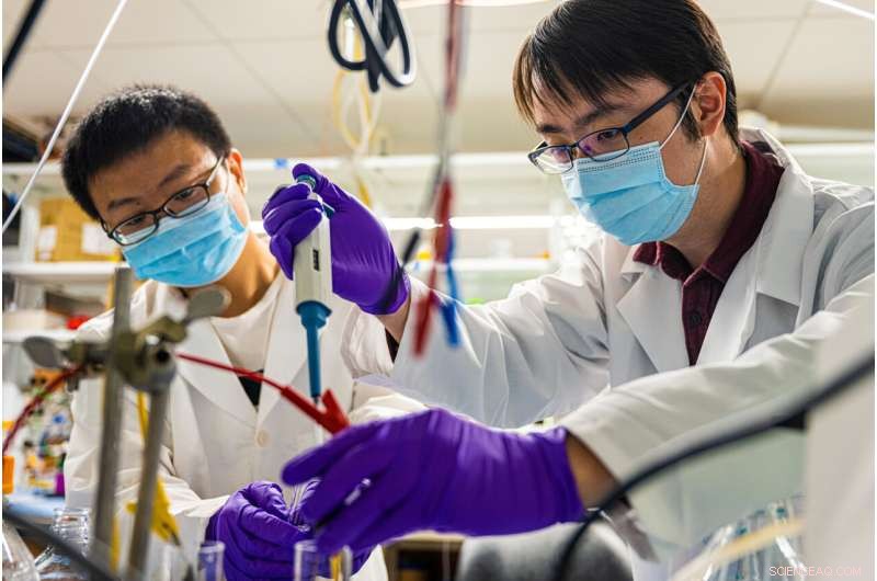 Revolutionary Catalyst Turns Wastewater Ammonia Into Fertilizer, Cutting CO2 Emissions