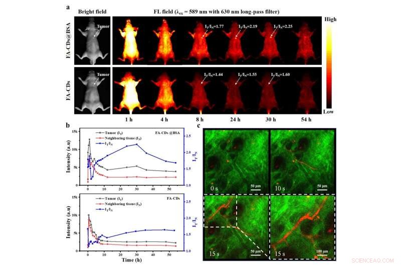 One-Step Synthesis of Bright Red-Emissive Carbon Dots for In Vivo Bioimaging