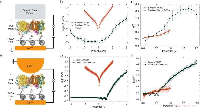 Scientists Engineer Protein-Based Self-Assembled Logic Circuits