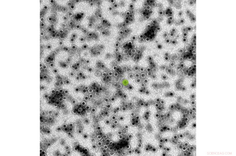 Nanofactories for Affordable Medicine Production: Michigan State University’s Innovation