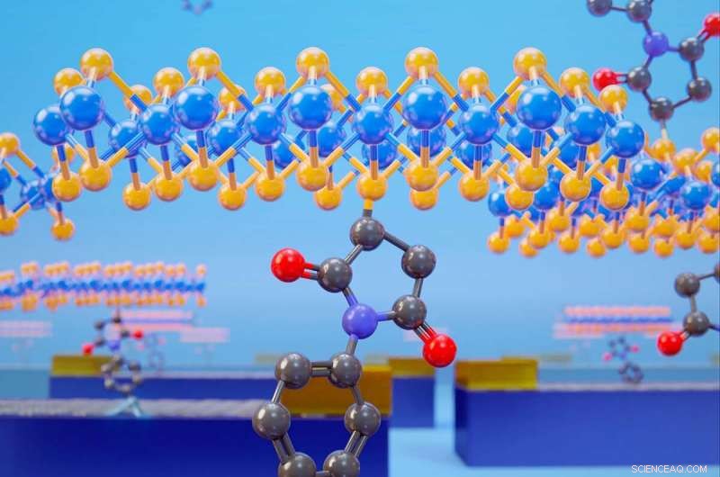 Covalent 2D‑2D Heterostructures: Pioneering MoS₂‑Graphene Junctions for Robust Field‑Effect Transistors