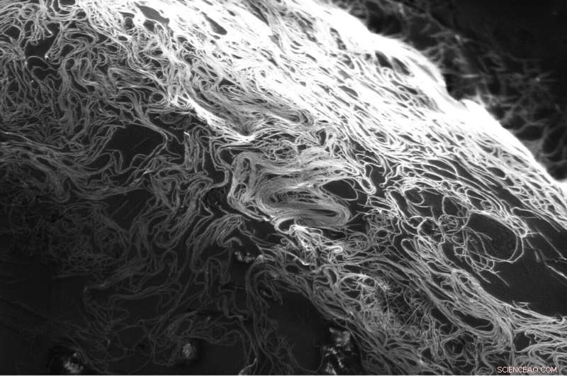 New Solvent Streamlines Industrial 3D and Roll‑to‑Roll Carbon Nanotube Printing