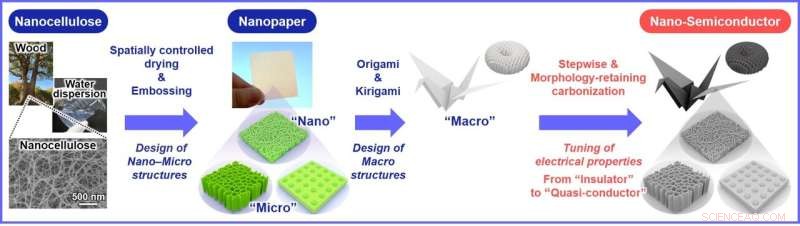 Tree‑derived Nanocellulose Paper Semiconductors Enable Flexible Electronics