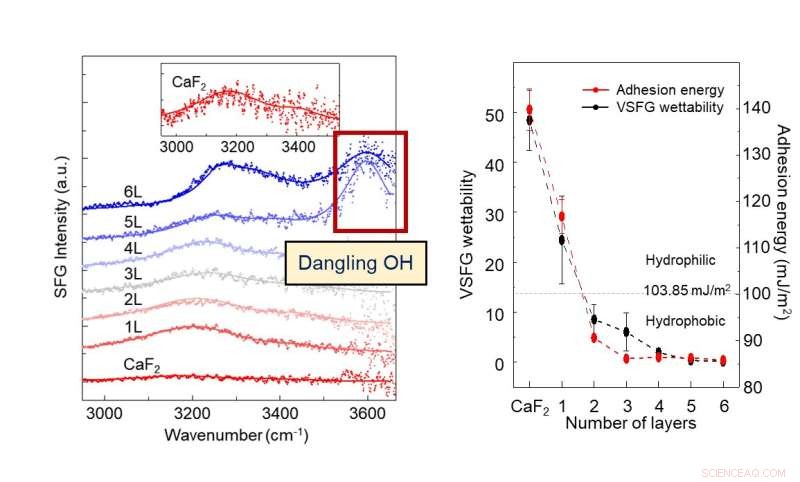 Assessing Hydrophobicity of Graphene and Other 2D Materials Through Advanced Wettability Measurements