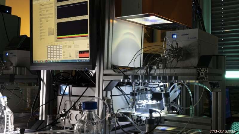 Harnessing Sunlight: Photocatalytic Membranes Remove Hormone Micropollutants from Water