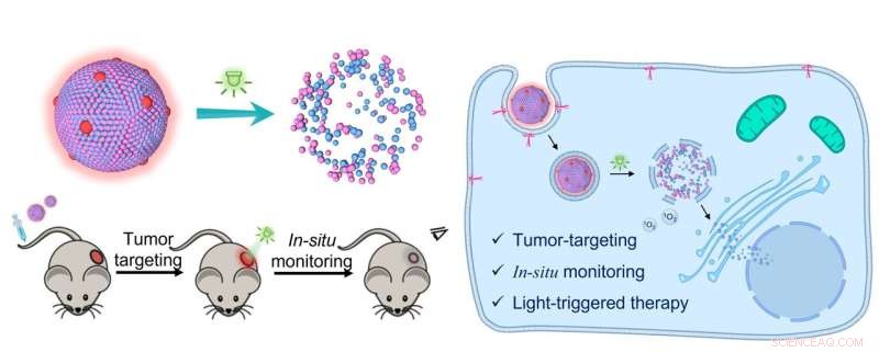 Light-Activated Nanomedicine Enables Targeted Drug Delivery for Colorectal Cancer