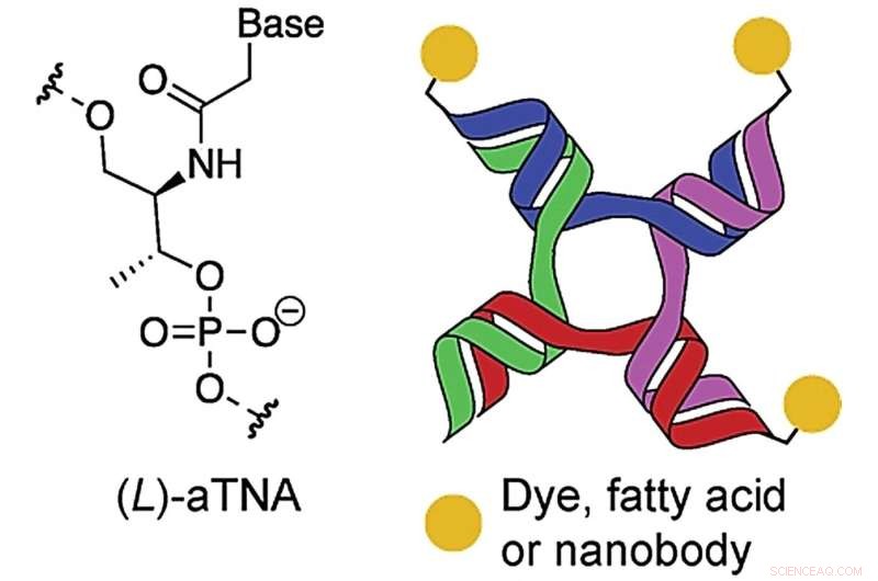 Stabilized Nanostructures Pave the Way for Advanced Cancer Nanomedicine