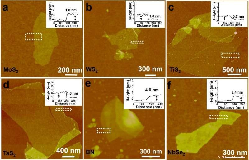 Efficient Electrochemical Intercalation for High-Yield TMD Nanosheet Production