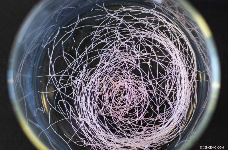 Advanced Nanogel Achieves Continuous Chemical Separation