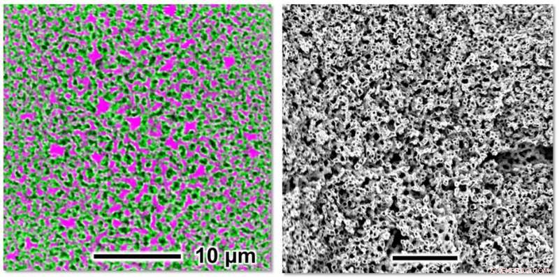 Advanced Nanogel Achieves Continuous Chemical Separation
