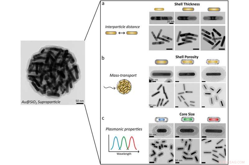 Ultra-Sensitive Nano-Sensors Detect Trace Molecules with Precision