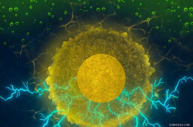 Turmeric Extract May Revolutionize Green Fuel Cells