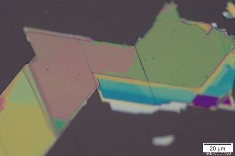 Magnetic Control of Light at the Nanoscale Using Antiferromagnetic Semiconductors