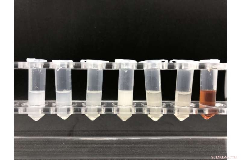 Advanced Z-Scheme Photocatalyst Uses Built-In Electric Field to Efficiently Remove Water Pollutants
