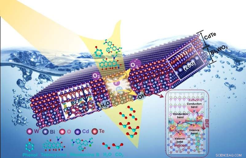 Advanced Z-Scheme Photocatalyst Uses Built-In Electric Field to Efficiently Remove Water Pollutants