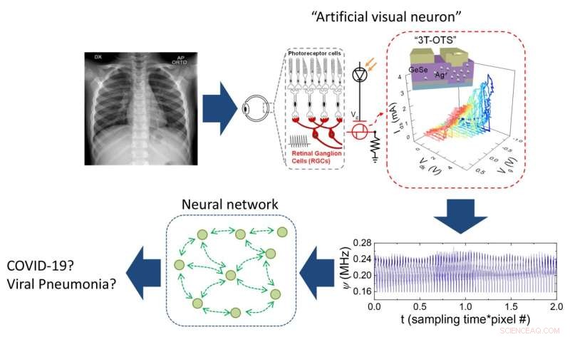 Low‑Power, High‑Efficiency Artificial Sensory Neurons: A Leap Toward Sustainable AI
