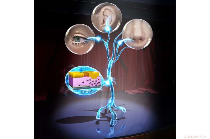 Low‑Power, High‑Efficiency Artificial Sensory Neurons: A Leap Toward Sustainable AI