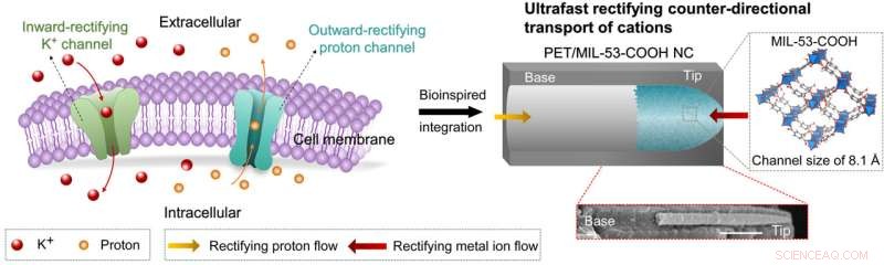 Innovative Nanodevice Accelerates Proton & Alkaline Metal Ion Filtration for Next-Gen Clean Energy Membranes