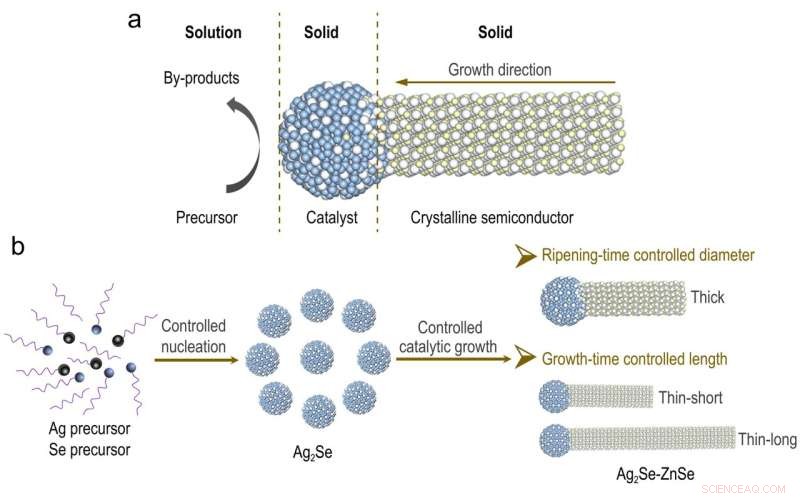 High-Quality ZnSe Quantum Wires: A Proven Growth Pathway