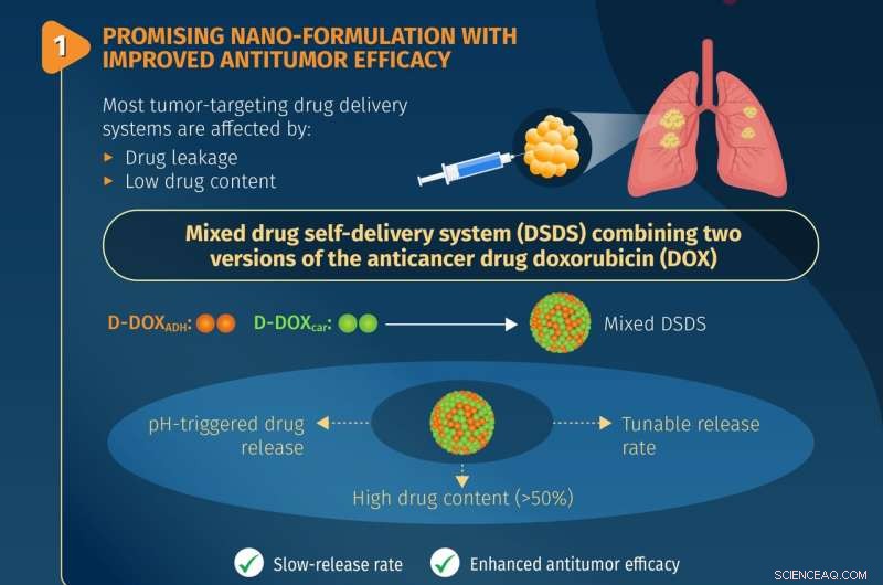 Nanotech Breakthroughs: Enhancing Drug Delivery, Diagnostics, and Environmental Protection