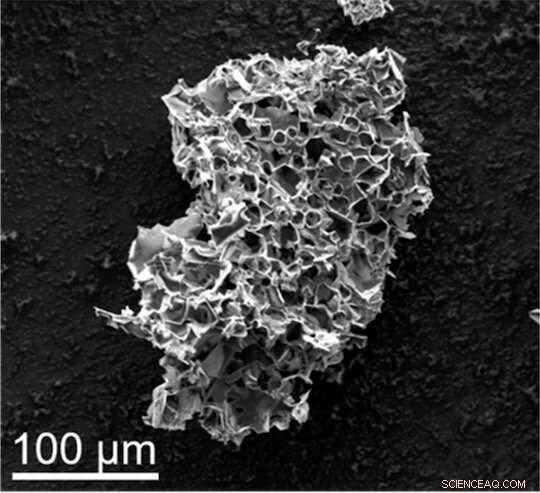 Rice University Lab Converts Plastic Waste into Advanced Carbon‑Capture Material