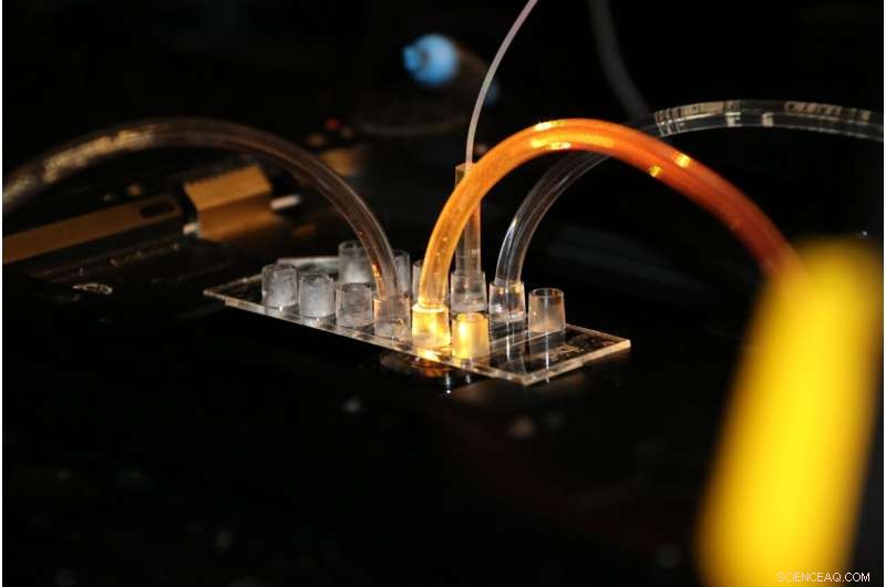 Revolutionary DNA Nanotech Accelerates Vaccine Development 1,000,000× Faster, Cutting Costs