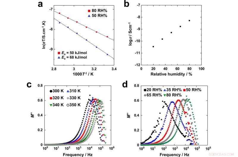 Light-Responsive Atom Cluster Nanomaterials for Advanced Sensing Applications