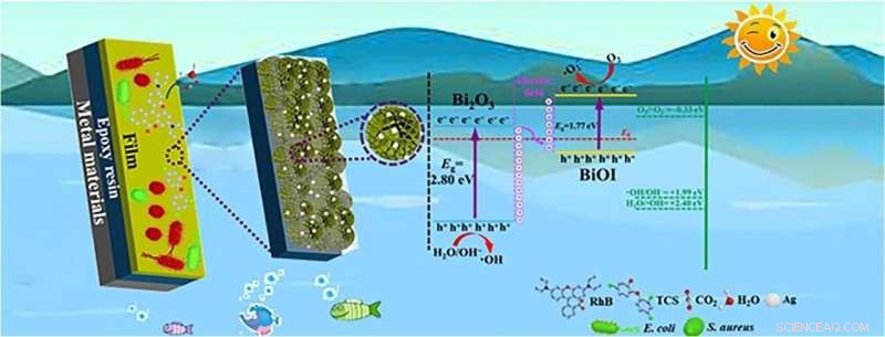 Innovative Supporting Material Enhances Recovery of Recyclable Photocatalyst Powders